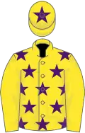 Yellow, purple stars, yellow sleeves, yellow cap, purple star