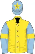 Yellow, light blue sleeves, yellow armlets and star on light blue cap