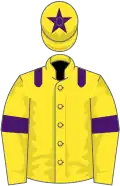 Yellow, purple epaulets, armlets and star on cap