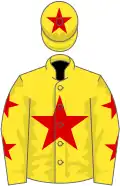 Yellow, red star, stars on sleeves, star on cap