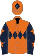 Orange, dark blue triple diamond, dark blue sleeves, orange stars, orange cap, dark blue diamond