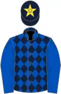 Royal blue and dark blue diamonds, royal blue sleeves, dark blue cap, yellow star