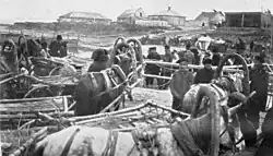 A barge transporting horse-drawn carts on the Yenisei River, 1913.
