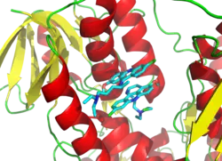 3D cartoon diagram of the trypanothione reductase protein bound to two molecules of inhibitors depicted as a stick diagrams.