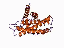 1ad6: DOMAIN A OF HUMAN RETINOBLASTOMA TUMOR SUPPRESSOR