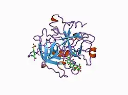 1awf: NOVEL COVALENT THROMBIN INHIBITOR FROM PLANT EXTRACT