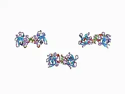 1axm: HEPARIN-LINKED BIOLOGICALLY-ACTIVE DIMER OF FIBROBLAST GROWTH FACTOR