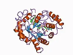1az1: ALRESTATIN BOUND TO C298A/W219Y MUTANT HUMAN ALDOSE REDUCTASE