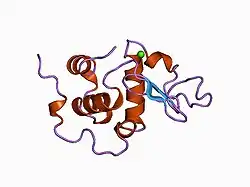 1b9o: HUMAN ALPHA-LACTALBUMIN, LOW TEMPERATURE FORM