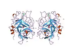 1bda: CATALYTIC DOMAIN OF HUMAN SINGLE CHAIN TISSUE PLASMINOGEN ACTIVATOR IN COMPLEX WITH DANSYL-EGR-CMK (DANSYL-GLU-GLY-ARG CHLOROMETHYL KETONE)