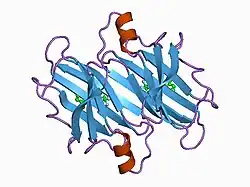 1bm7: HUMAN TRANSTHYRETIN (PREALBUMIN) COMPLEX WITH FLUFENAMIC ACID (2-3-(TRIFLUOROMETHYL)PHENYL AMINO BENZOIC ACID)