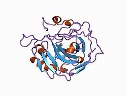 1cnh: X-RAY CRYSTALLOGRAPHIC STUDIES OF ENGINEERED HYDROGEN BOND NETWORKS IN A PROTEIN-ZINC BINDING SITE