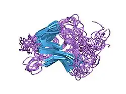 1co1: FOLD OF THE CBFA