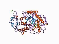 1cpu: SUBSITE MAPPING OF THE ACTIVE SITE OF HUMAN PANCREATIC ALPHA-AMYLASE USING SUBSTRATES, THE PHARMACOLOGICAL INHIBITOR ACARBOSE, AND AN ACTIVE SITE VARIANT