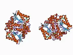 1d4a: CRYSTAL STRUCTURE OF HUMAN NAD[P]H-QUINONE OXIDOREDUCTASE AT 1.7 A RESOLUTION