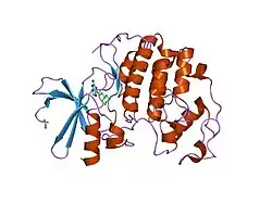 1e1v: HUMAN CYCLIN DEPENDENT KINASE 2 COMPLEXED WITH THE INHIBITOR NU2058