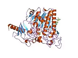 1e3c: CRYSTAL STRUCTURE OF AN ARYLSULFATASE A MUTANT C69S SOAKED IN SYNTHETIC SUBSTRATE