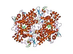 1eqg: THE 2.6 ANGSTROM MODEL OF OVINE COX-1 COMPLEXED WITH IBUPROFEN