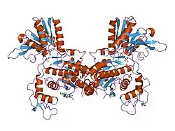 1ewt: CRYSTAL STRUCTURE OF METABOTROPIC GLUTAMATE RECEPTOR SUBTYPE 1 LIGAND FREE FORM I