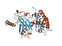 1f3v: CRYSTAL STRUCTURE OF THE COMPLEX BETWEEN THE N-TERMINAL DOMAIN OF TRADD AND THE TRAF DOMAIN OF TRAF2