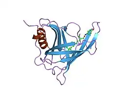 1fel: CRYSTALLOGRAPHIC STUDIES ON COMPLEXES BETWEEN RETINOIDS AND PLASMA RETINOL-BINDING PROTEIN