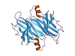 1fh2: TRANSTHYRETIN STABILITY AS A KEY FACTOR IN AMYLOIDOGENESIS
