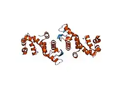 1fs1: INSIGHTS INTO SCF UBIQUITIN LIGASES FROM THE STRUCTURE OF THE SKP1-SKP2 COMPLEX