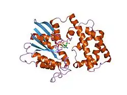 1gia: STRUCTURE OF ACTIVE CONFORMATIONS OF GIA1 AND THE MECHANISM OF GTP HYDROLYSIS