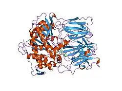 1h2y: PROLYL OLIGOPEPTIDASE FROM PORCINE BRAIN, Y473F MUTANT WITH COVALENTLY BOUND INHIBITOR Z-PRO-PROLINAL