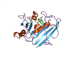 1hfq: COMPARISON OF TERNARY CRYSTAL COMPLEXES OF HUMAN DIHYDROFOLATE REDUCTASE WITH NADPH AND A CLASSICAL ANTITUMOR FUROPYRIMDINE