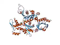 1hlu: STRUCTURE OF BOVINE BETA-ACTIN-PROFILIN COMPLEX WITH ACTIN BOUND ATP PHOSPHATES SOLVENT ACCESSIBLE