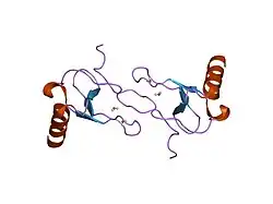 1hum: SOLUTION STRUCTURE OF THE CHEMOKINE HMIP-1BETA(SLASH)ACT-2 BY MULTI-DIMENSIONAL NMR: A NOVEL CHEMOKINE DIMER