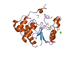 1i9s: CRYSTAL STRUCTURE OF THE RNA TRIPHOSPHATASE DOMAIN OF MOUSE MRNA CAPPING ENZYME