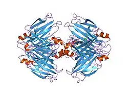 1ict: MONOCLINIC FORM OF HUMAN TRANSTHYRETIN COMPLEXED WITH THYROXINE (T4)