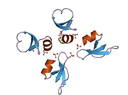 1iju: HUMAN BETA-DEFENSIN-1