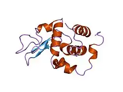 1ip1: G37A HUMAN LYSOZYME