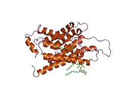 1j4n: Crystal Structure of the AQP1 water channel