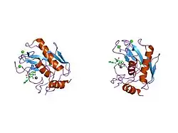 1jiz: Crystal Structure Analysis of human Macrophage Elastase MMP-12
