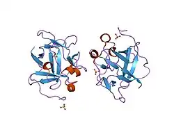 1jt5: Human Acidic Fibroblast Growth Factor. 141 Amino Acid Form with Amino Terminal His Tag AND LEU 73 REPLACED BY VAL AND VAL 109 REPLACED BY LEU (L73V/V109L)