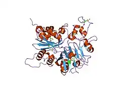 1jy1: CRYSTAL STRUCTURE OF HUMAN TYROSYL-DNA PHOSPHODIESTERASE (TDP1)