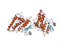 1k0n: Chloride Intracellular Channel 1 (CLIC1) complexed with glutathione