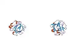 1k5v: Human acidic fibroblast growth factor. 141 amino acid form with amino terminal His tag with Asn106 replaced by Gly (N106G).
