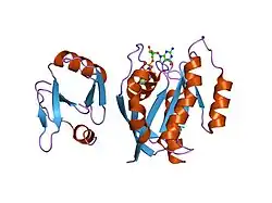 1k8r: Crystal structure of Ras-Bry2RBD complex