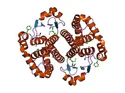 1kbn: Glutathione transferase mutant