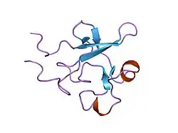 1kdu: SEQUENTIAL 1H NMR ASSIGNMENTS AND SECONDARY STRUCTURE OF THE KRINGLE DOMAIN FROM UROKINASE