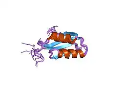 1kvj: Solution Structure of the Cu(I) bound form of the first heavy metal binding motif of the Menkes protein