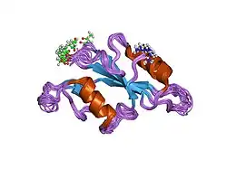 1lui: NMR Structures of Itk SH2 domain, Pro287cis isoform, ensemble of 20 low energy structures