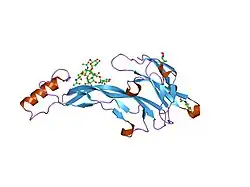 1lx5: Crystal Structure of the BMP7/ActRII Extracellular Domain Complex