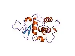 1lyy: AMYLOIDOGENIC VARIANT (ASP67HIS) OF HUMAN LYSOZYME