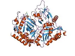1m51: PEPCK complex with a GTP-competitive inhibitor